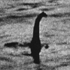 Nessie's Avatar