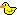 Ducky